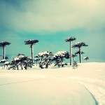 Caviahue-Nieve