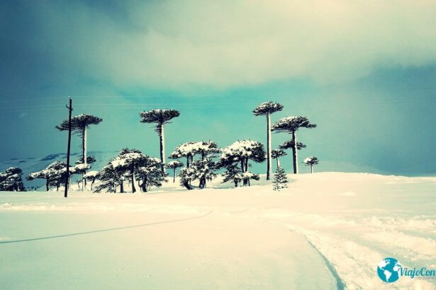 Caviahue Pueblo Nieve