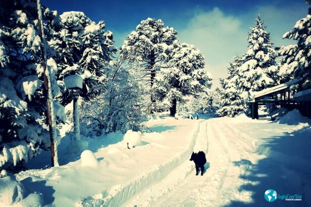 Caviahue en invierno