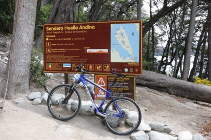 Bosque de Arrayanes desde Villa La Angostura