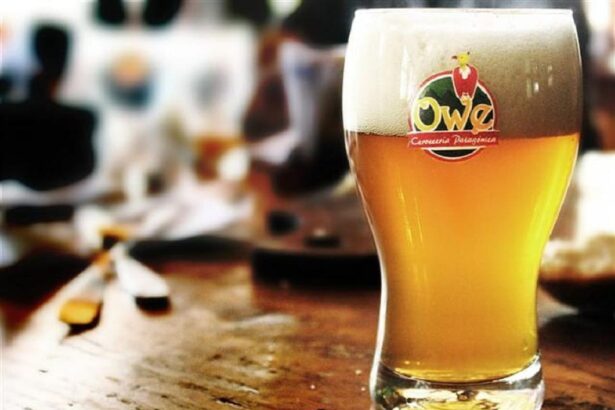 Festival de Cerveza Artesanal en Aluminé