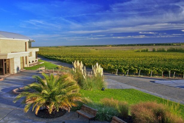 Bodega Familia Schroeder