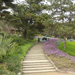 Park Güel 13