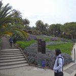 DCIM100GOPROGOPR1051.