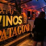 expo vinos de la patagonia