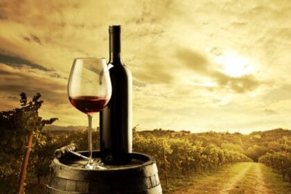 La estructura del vino