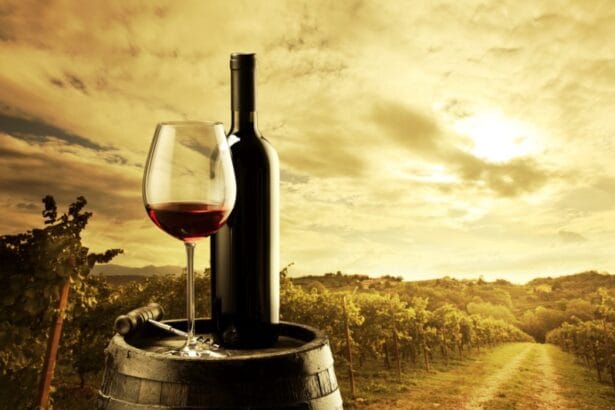 La estructura del vino