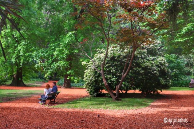 Un paseo por el Jardín Botánico de Buenos Aires - Viajo Con Vos