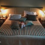 Solans Presindente (4)