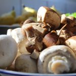 Hongos