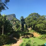 Cristo desde el Botánico