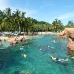 Discovery Cove