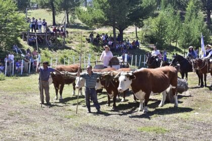 Fiesta de los vecinos de Moquehue