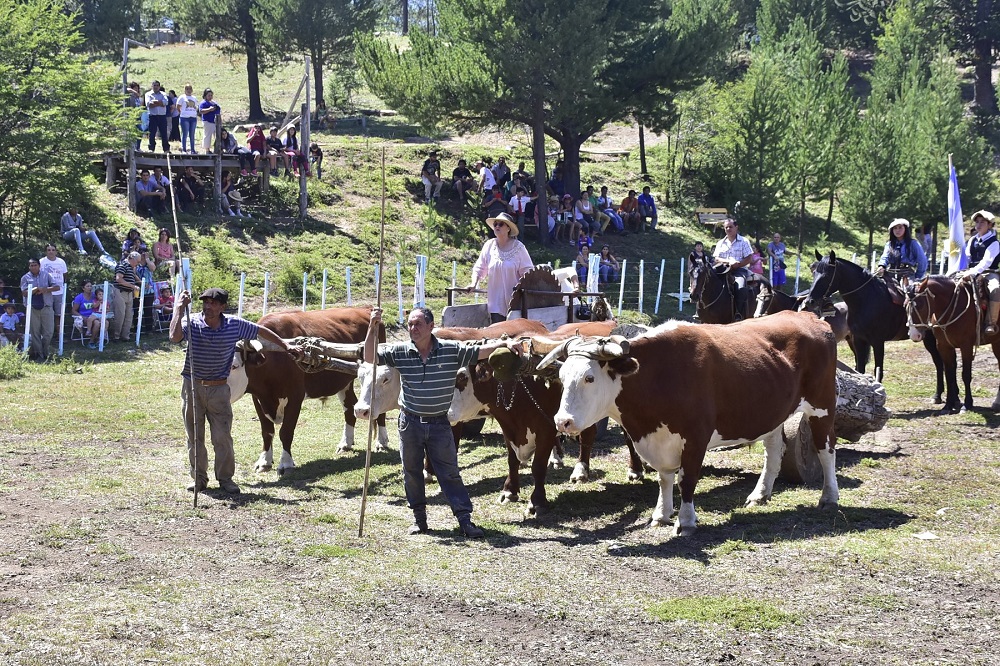 Fiesta de los vecinos de Moquehue