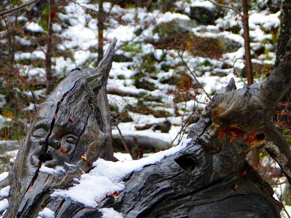 El Bosque Tallado