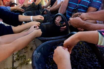 Fiesta del Vino Patero
