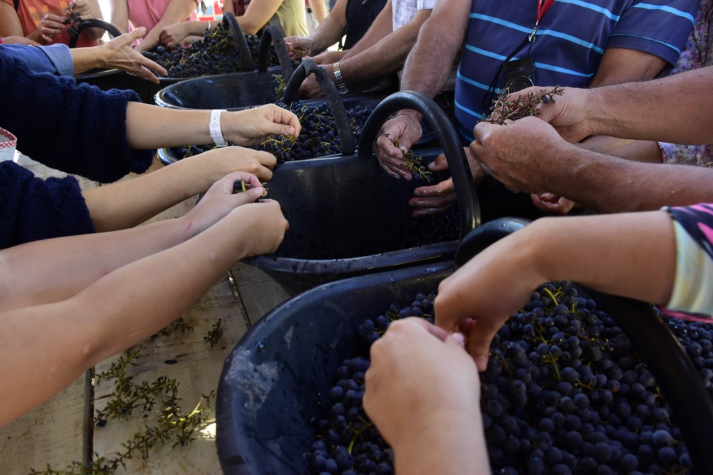 Fiesta del Vino Patero
