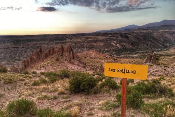 Los Bolillos