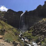 Manzano Amargo (4)