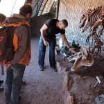 Proyecto Dino (1)