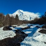 lanin-116-principal-4