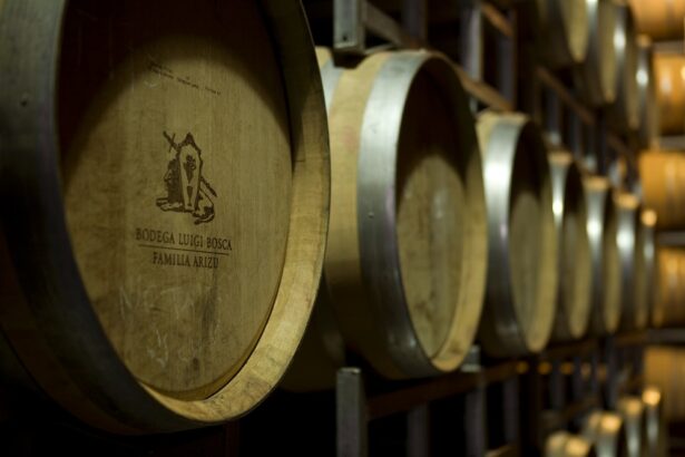 Luigi Bosca Terroir Los Miradores