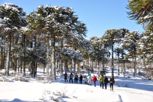 Invierno en Villa Pehuenia