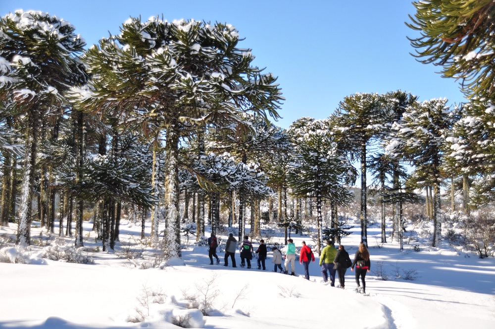 Invierno en Villa Pehuenia