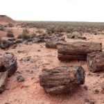 Parque Arqueológico El Sauce