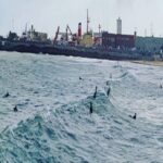 17909579837455486_viajoconvos