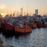 17914519652351006_viajoconvos