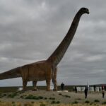 17949148981697668_viajoconvos