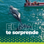 Banner Mayo 2022 Rio Negro 300×450