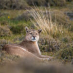 ND51128-Editar-960×640