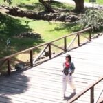 17919218729614511_viajoconvos