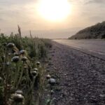 17991741532543424_viajoconvos