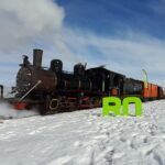 Tren Patagonico