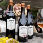 Turimo del vino