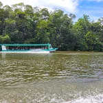 Navegacion-Tortuguero