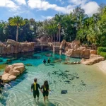 Discovery Cobe Orlando