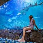 SWO_Aquarium