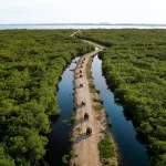 WestBay_Islas Caiman