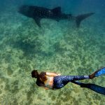 C:DCIM100GOPROGOPR1216.GPR