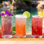 DCO_Hibiscus_Hideaway_Drinks_and_Pizza