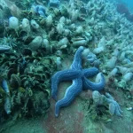 buceo en las grutas