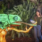 ILLUMINATE Aquatica Orlando