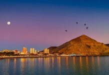 Guía para visitar Comodoro Rivadavia: beneficios 3×2, ballenas y nuevas experiencias marítimas