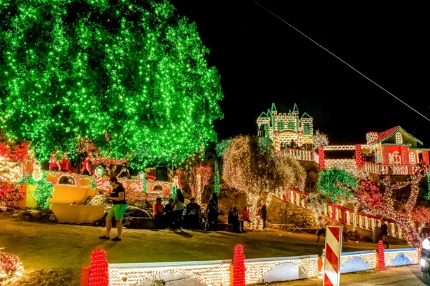 Navidad y Año Nuevo en Aruba