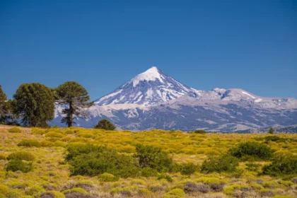 Volcán Lanín