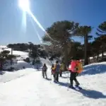 Trekking en Primeros Pinos